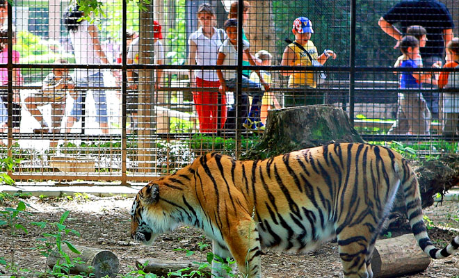 Grădina Zoologică din București