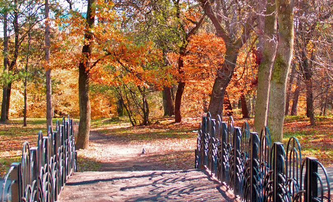 Parcul Sub Arini din oraşul Sibiu, judeţul Sibiu